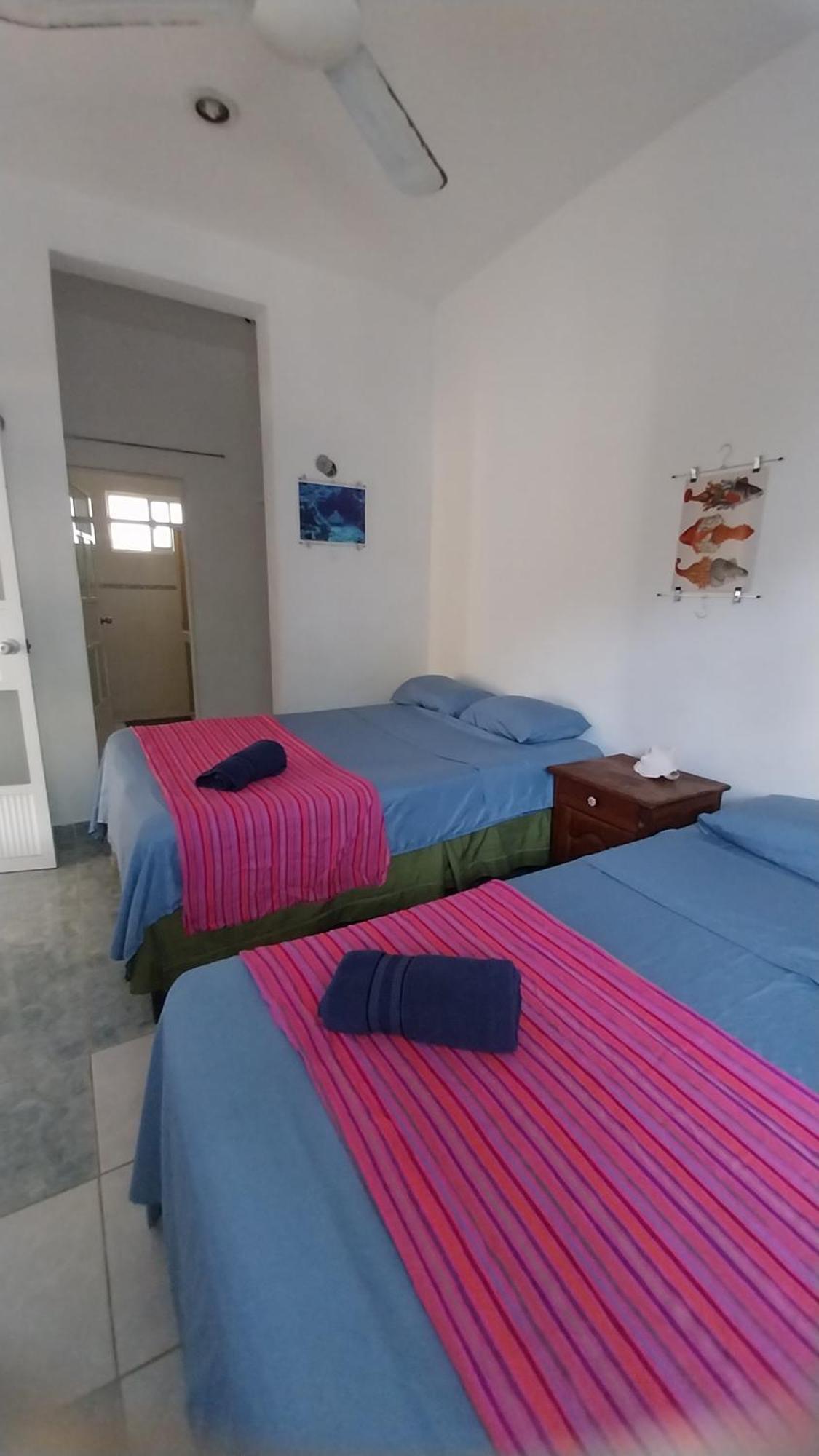 Séjour chez l'habitant Casamaya & Diving
