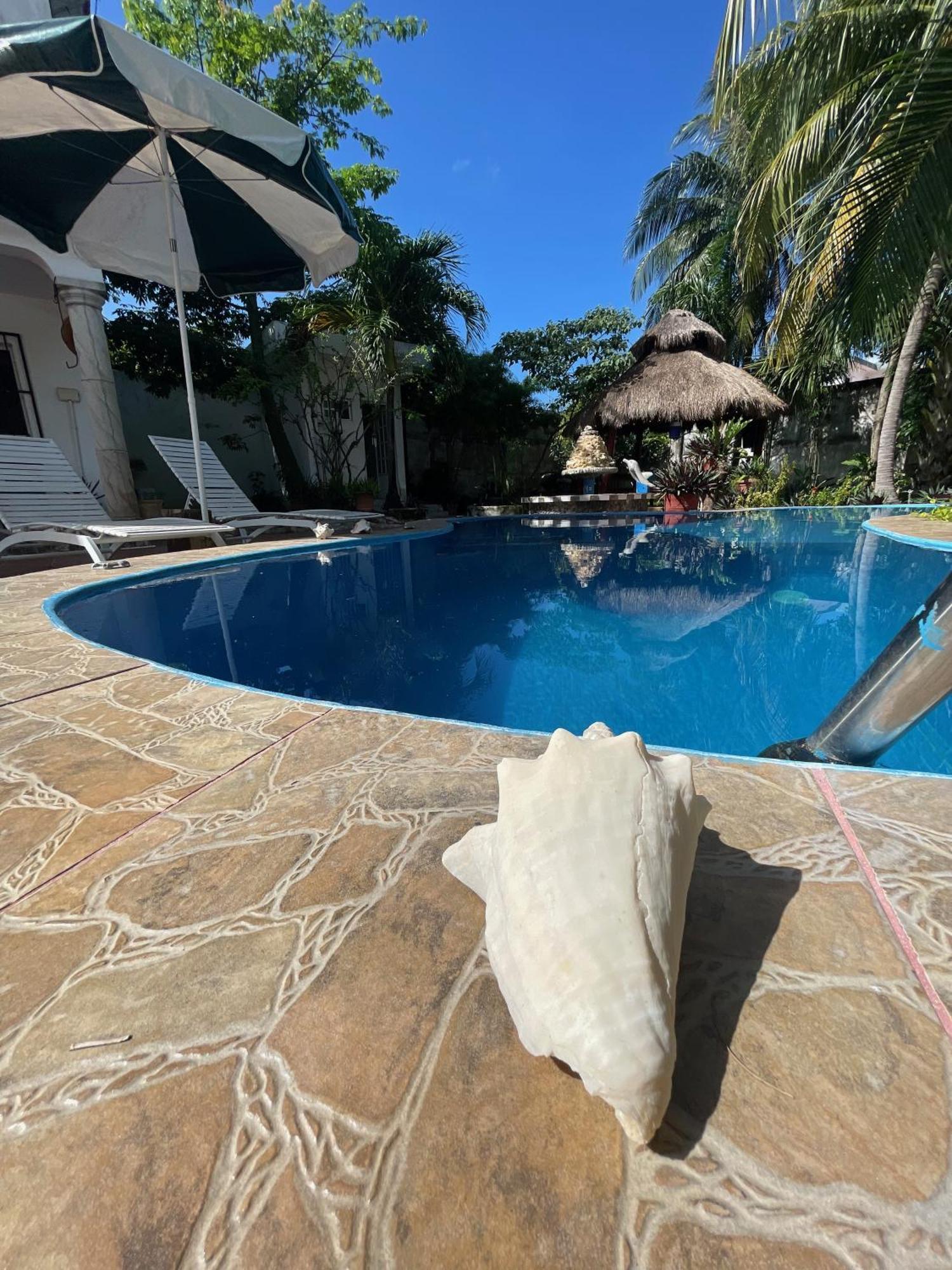Casamaya & Diving Séjour chez l'habitant *