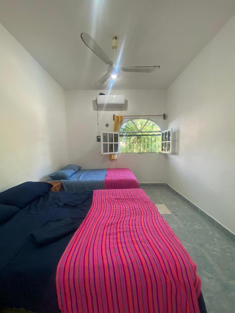 Séjour chez l'habitant Casamaya & Diving Cozumel