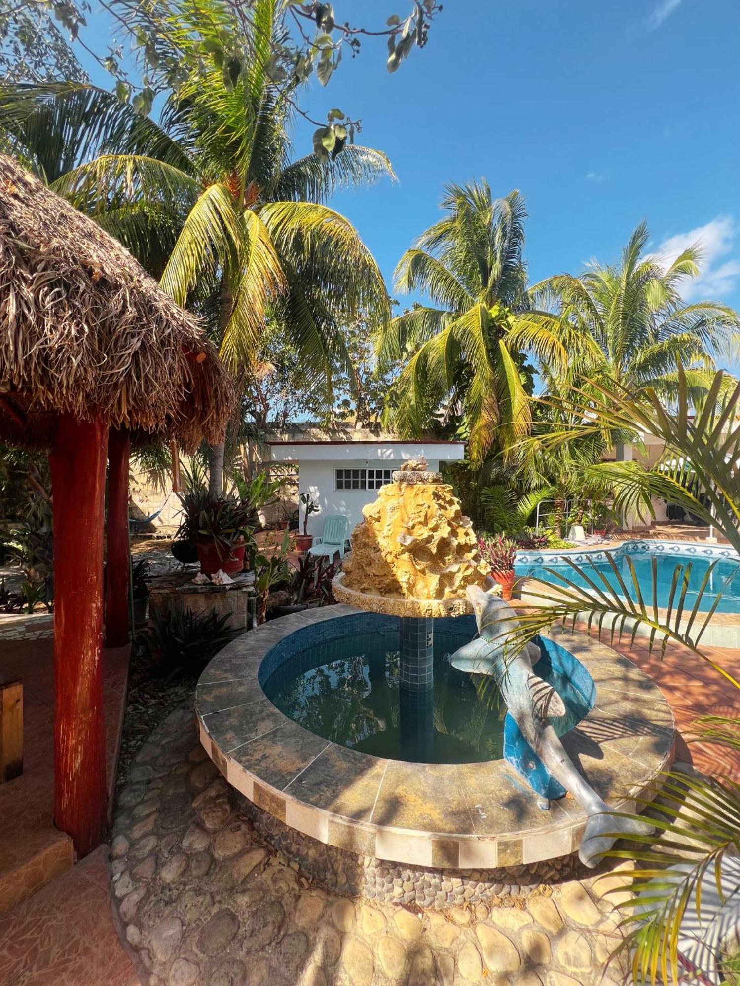 Casamaya & Diving Séjour chez l'habitant Cozumel