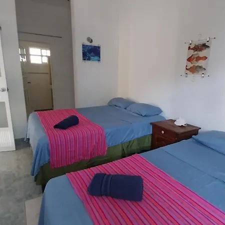 Casamaya Hostel & Diving Cozumel Exterior photo