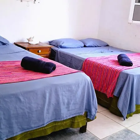 Casamaya Hostel & Diving Cozumel Exterior photo